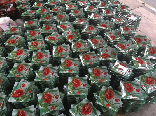 Customize Color Ins Cactus Square Glass Dinner Plates