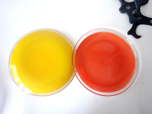 10 Inch Transparent Edge Tinting Color Glass Charger Plates