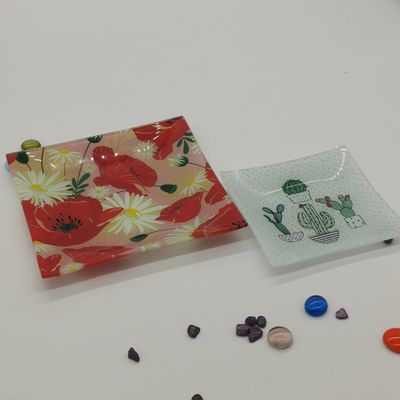qualidade Personalize a cor em pratos de vidro quadrados de cacto fábrica