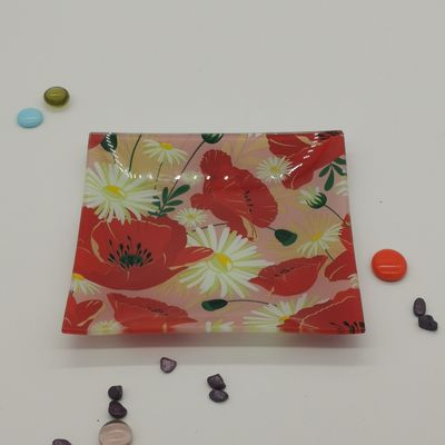 qualidade Personalize a cor em pratos de vidro quadrados de cacto fábrica